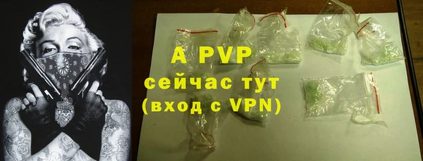 мдпв Верхний Тагил