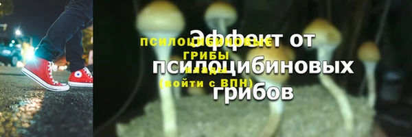 МДПВ Володарск