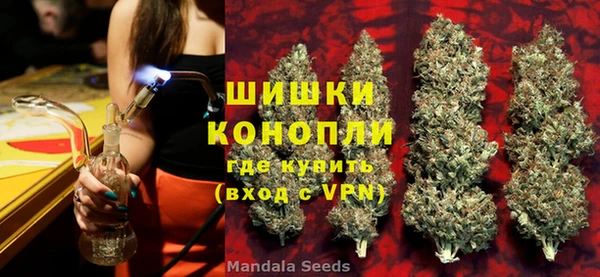 гашик Верея
