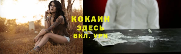 мдпв Верхний Тагил