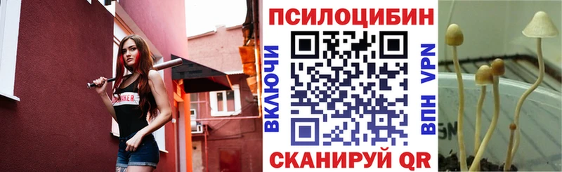 Псилоцибиновые грибы Cubensis  hydra зеркало  Заводоуковск 